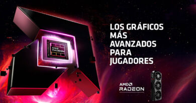 AMD Dia Gamer
