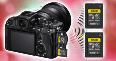 Cámara Sony en fondo rosa, con dos tarjetas de memoria CFexpress y SD colocadas al lado, mostrando su diseño y colores distintivos.