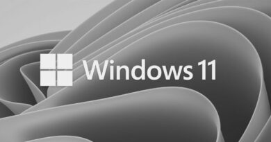 Fondo en tonos grises con un diseño curvado y fluido, mostrando el logotipo y el texto "Windows 11" en blanco.