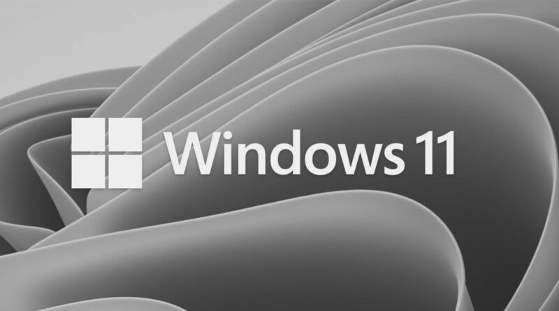 Fondo en tonos grises con un diseño curvado y fluido, mostrando el logotipo y el texto "Windows 11" en blanco.