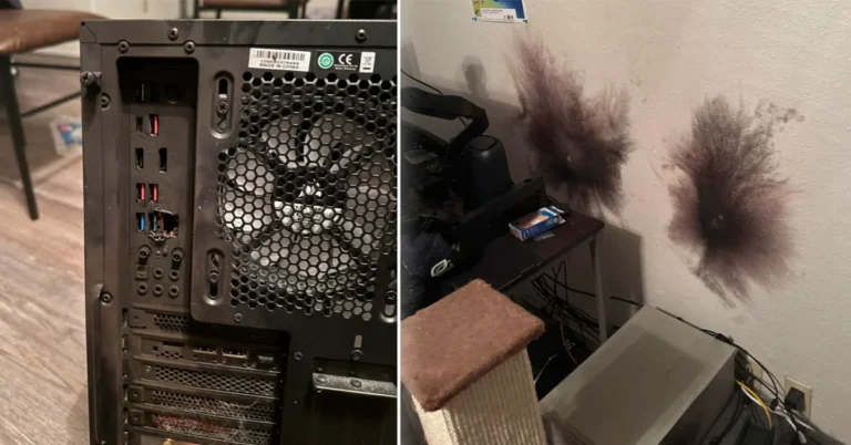 La sobretensión viaja por el cable de red y destruye la placa base: el caso documentado por Reddit